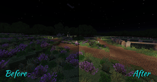 Before and After - Paths