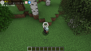 c22.png