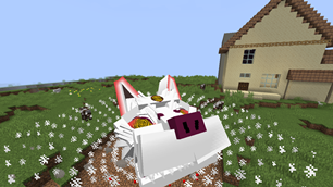 cc5.png