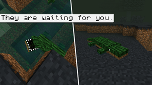 page_3.png
