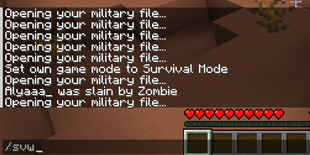 command.PNG