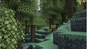 Verdant Woods.png