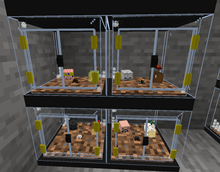 Stacked Large Terrariums
