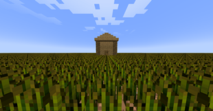 Endless Field