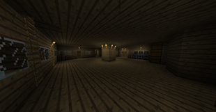 Endless House