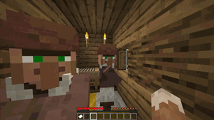 villagerscreenshowcase-ezgif.com-optimize.gif