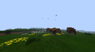 It's a quiet day too quiet