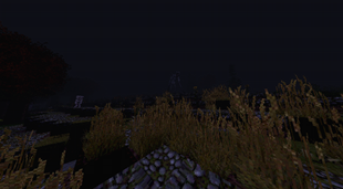 What is that what's there