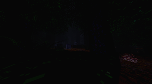 This forest is really quiet