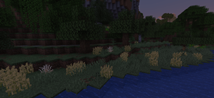 Screenshot 2026-03-03 195328.png