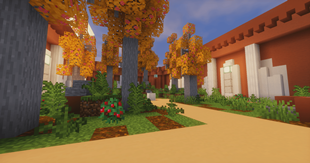 Jedi Garden Tython