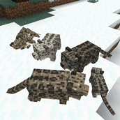 some variants