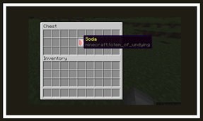 Item name