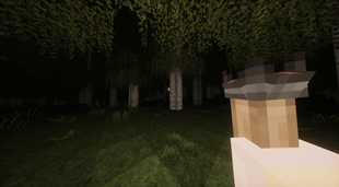 I went for a walk in the forest and I saw this What is that over there