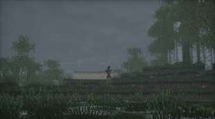 What is it What is this creature