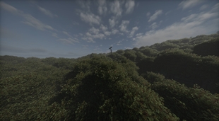 What is that tall thing over there I've never seen anything like that