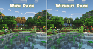 With Pack (1).png