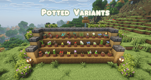 Potted Variants (2).png