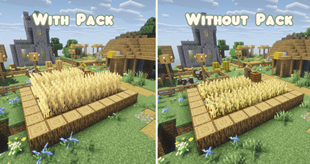wheat (2).png