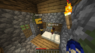 Baby villagers are also transformed!