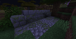 Sewer