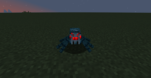 speider.png