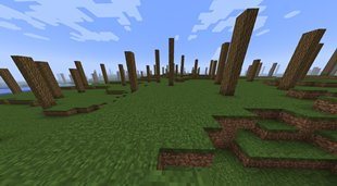 What is this Where are all the leaves What is this strange thing