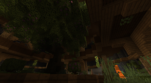 Sanctum Of Vitality