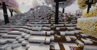 Extra Snow Layer