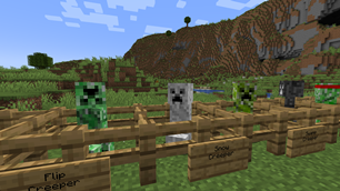 flip, snow, swamp