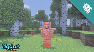 Screenshot 24