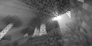2026-03-07_17.07.55.png