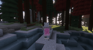2026-03-01_02.08.46.png