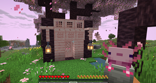 Cherry biome