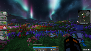 Gameplay image