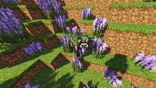 Lavender_Cow.jpg
