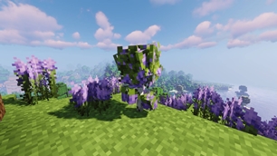 Lavender_Mini_Tree.jpg