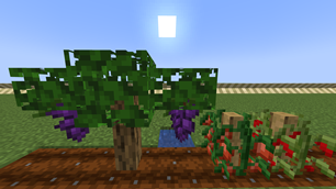 crops.png