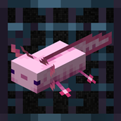 Axolotl Controller.png