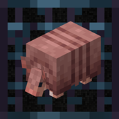 Armadillo Controller.png