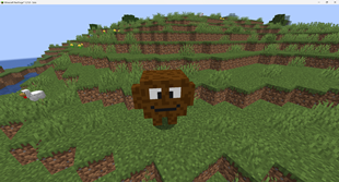 Capture.png
