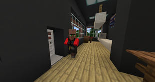 Mcdonald's Villager
