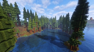 Little Bay In a Redwood Forest