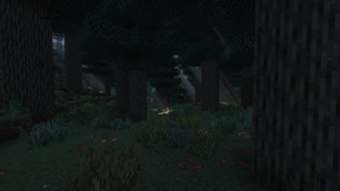 Moody Pine Forest