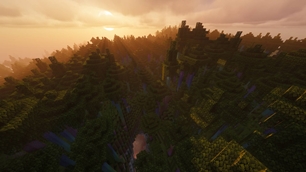 A look at natural beauty