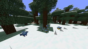 Cold Songbird Variant.png