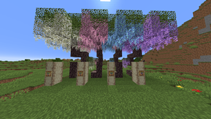 Wisteria Trees.png