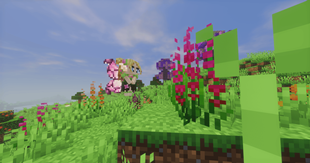 Fairy