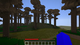 lush forest