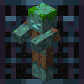 Drowned Controller.png